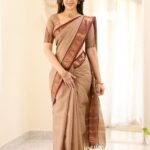 taupe beige and maroon border chettinad cotton saree